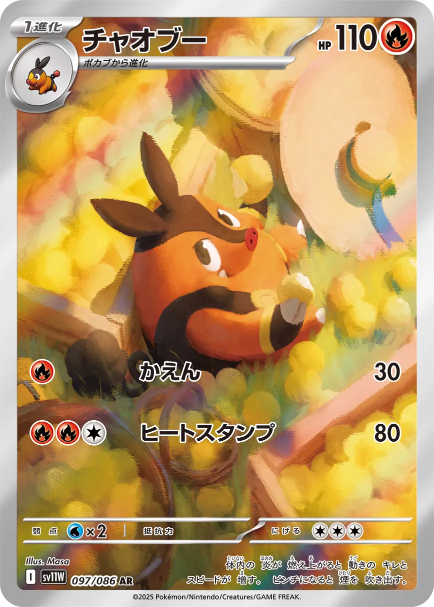 炒炒豬