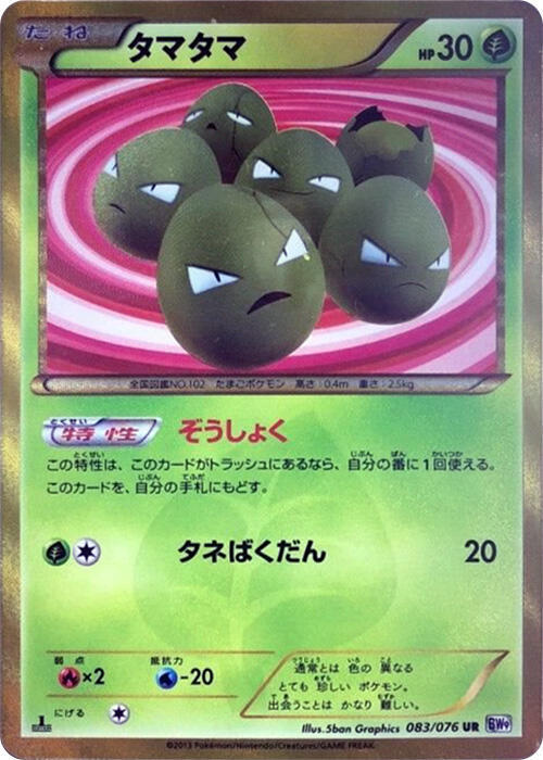 蛋蛋