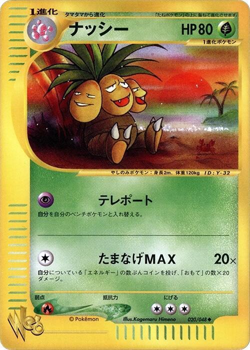 椰蛋樹