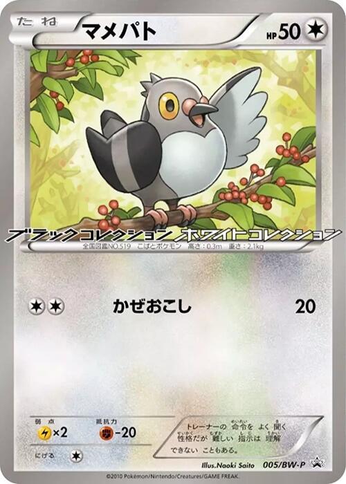 豆豆鴿