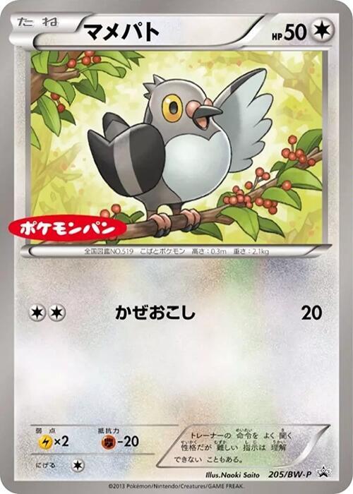 豆豆鴿