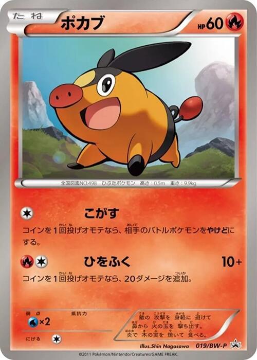 暖暖豬
