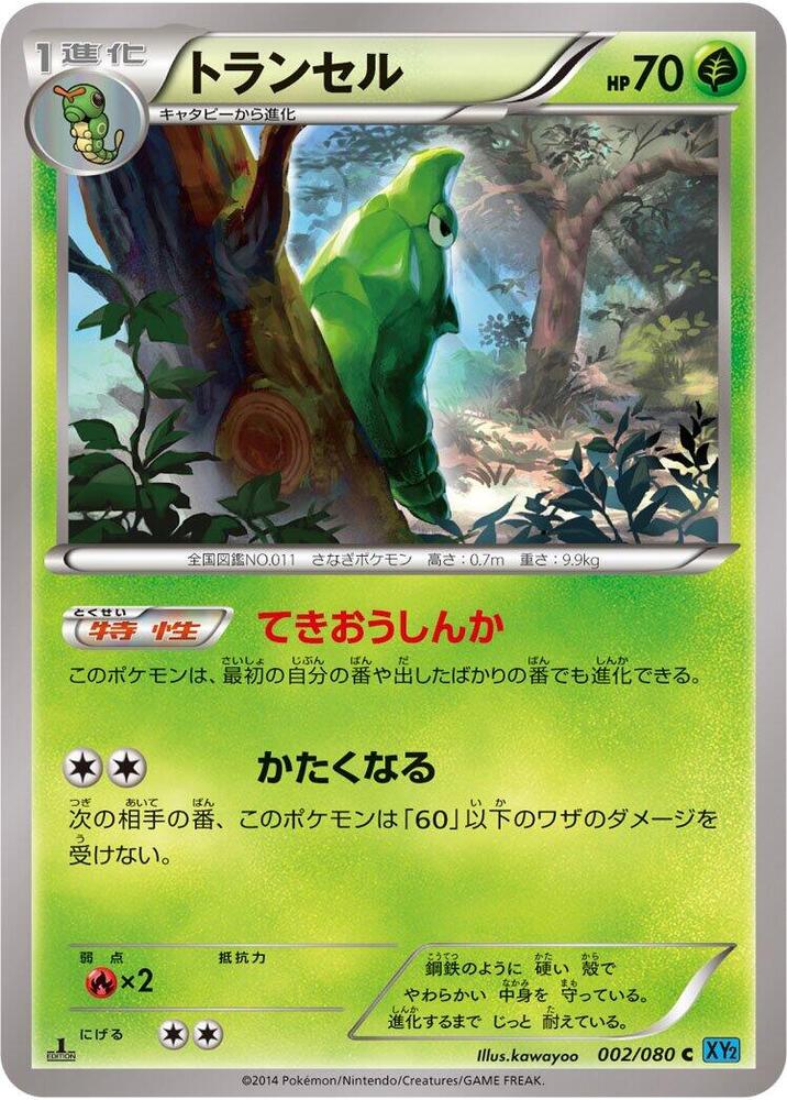 鐵甲蛹
