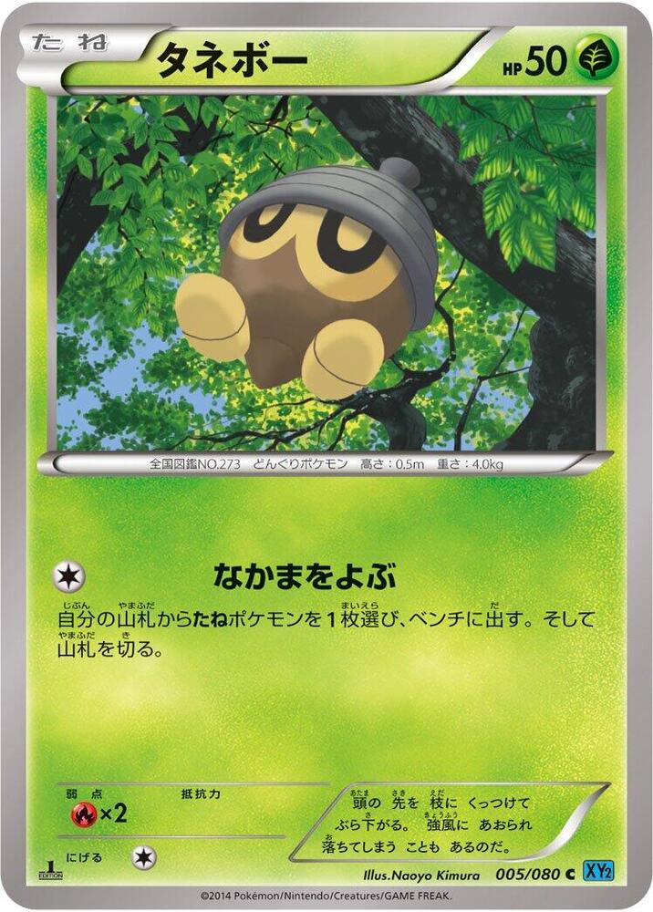 橡實果