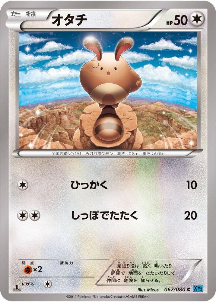 尾立
