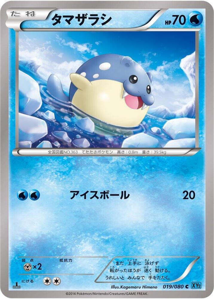 海豹球