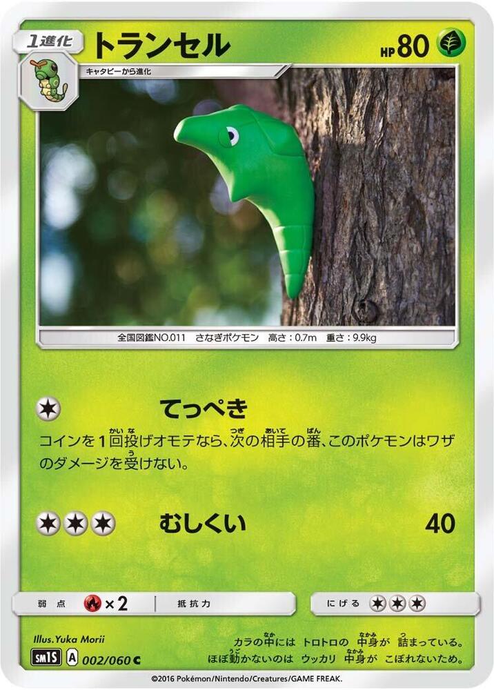 鐵甲蛹