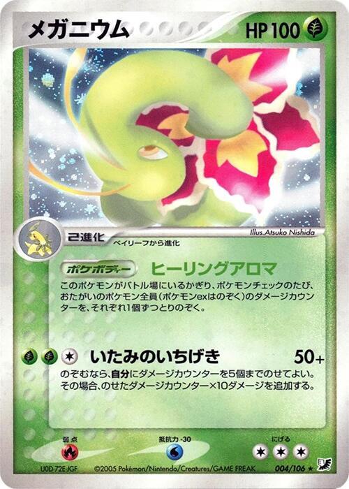 大竺葵