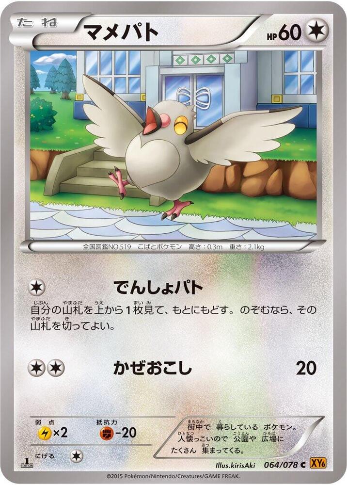 豆豆鴿