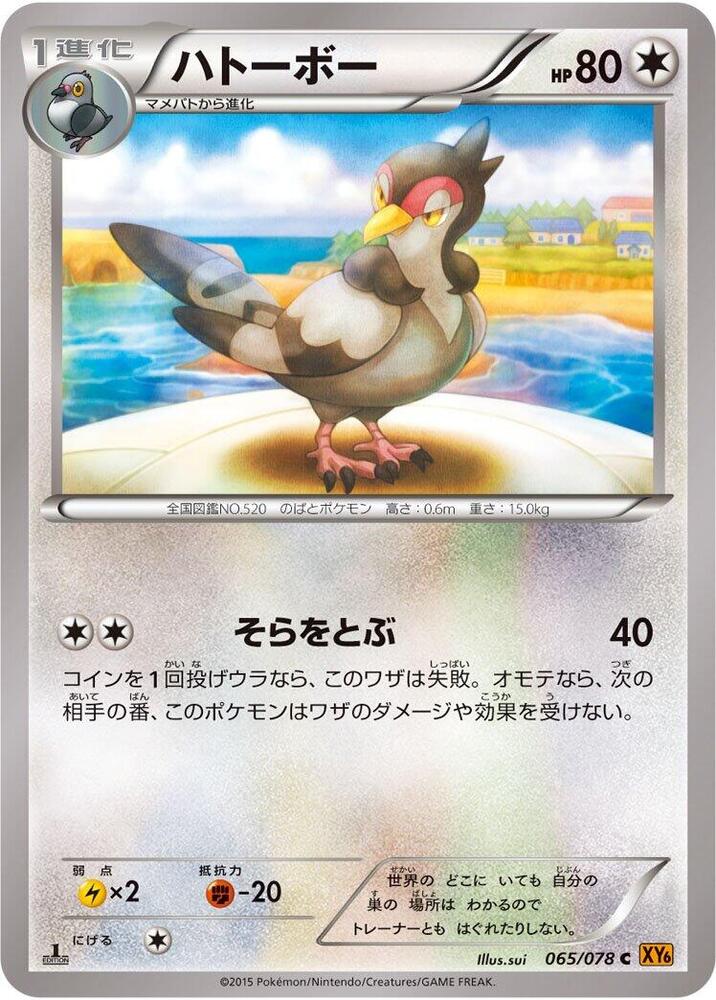 咕咕鴿