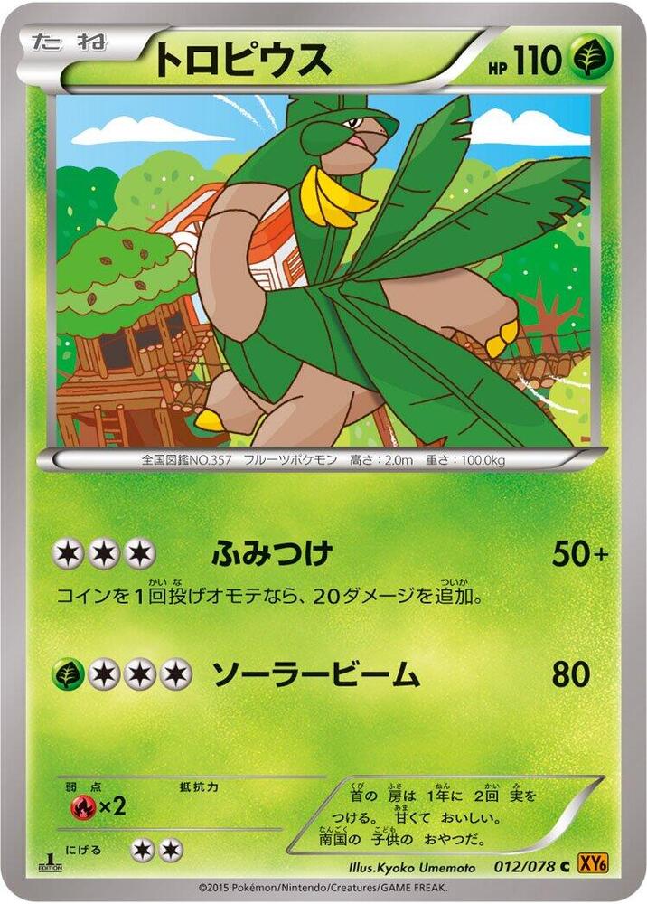 熱帶龍