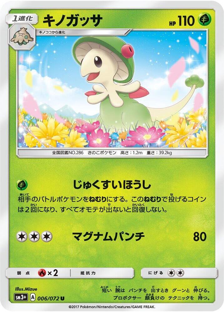 斗笠菇