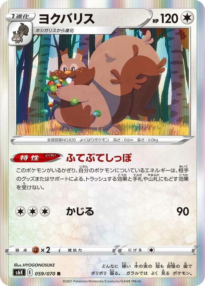 藏飽栗鼠