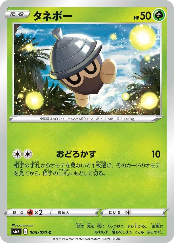 橡實果