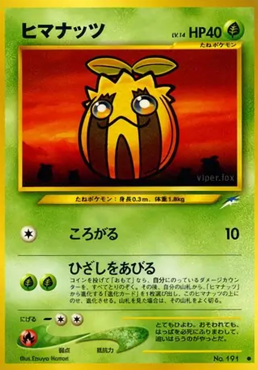 向日種子