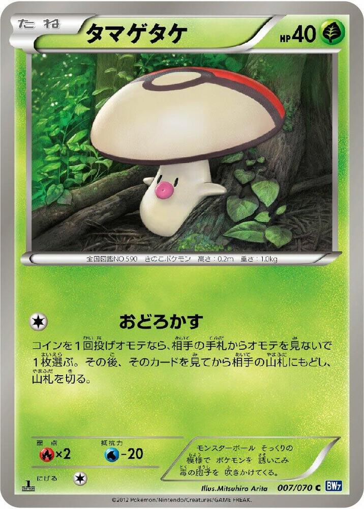 哎呀球菇
