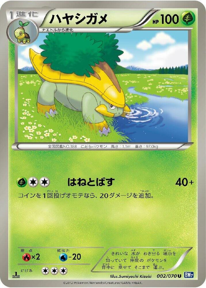 樹林龜