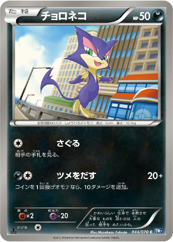 扒手貓