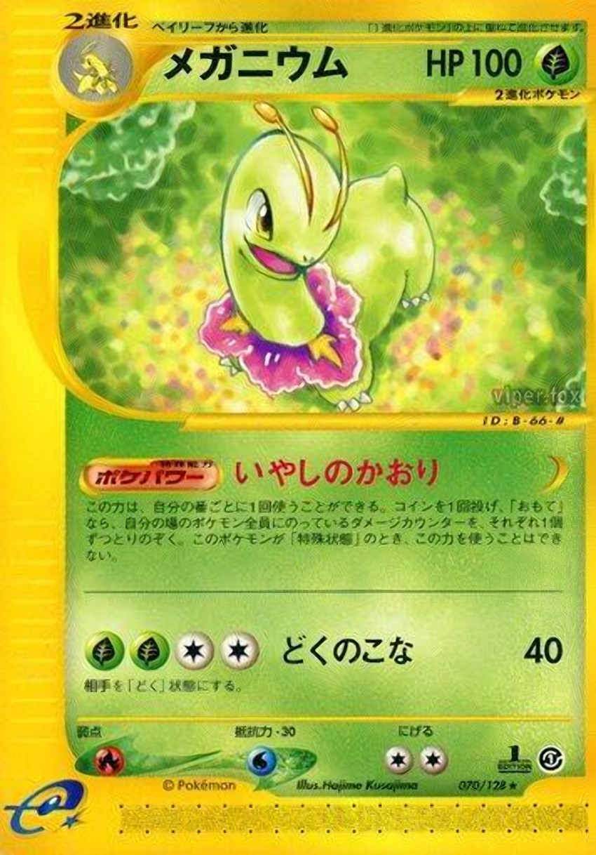 大竺葵