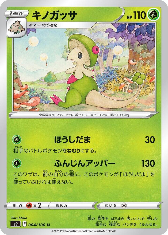 斗笠菇