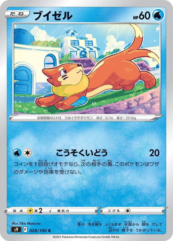 泳圈鼬