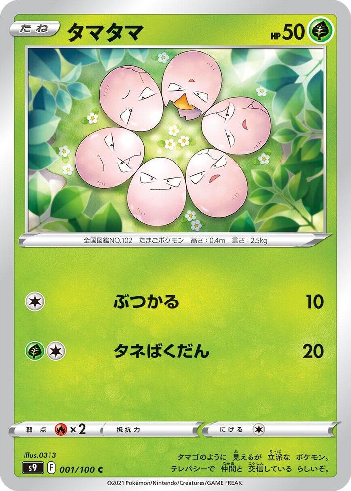 蛋蛋