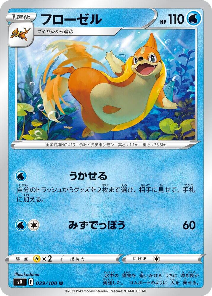 浮潛鼬