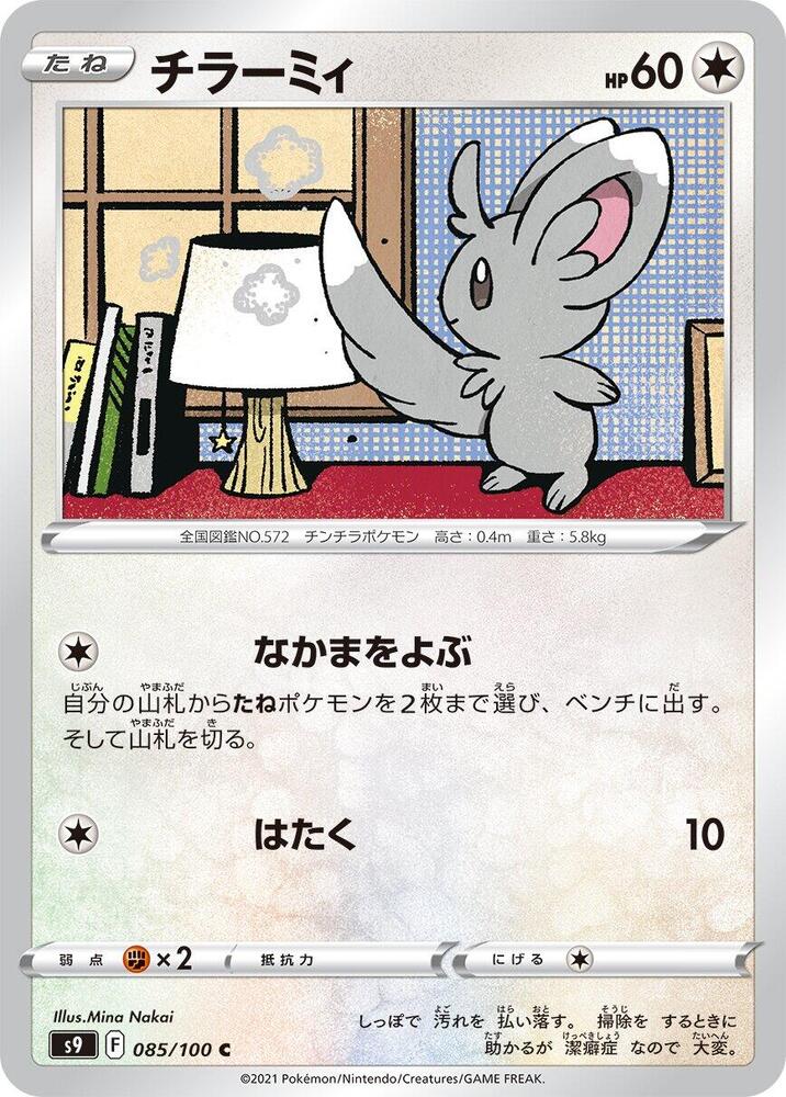 泡沫栗鼠