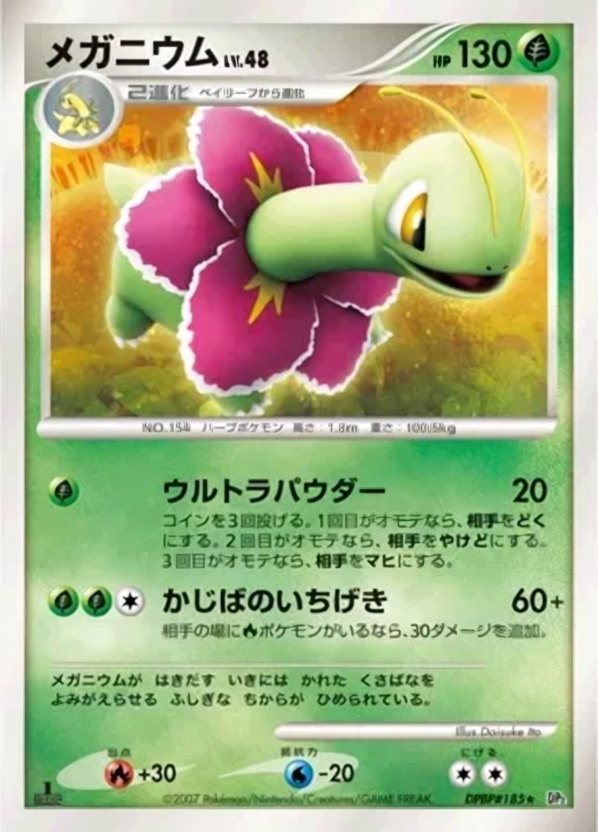 大竺葵