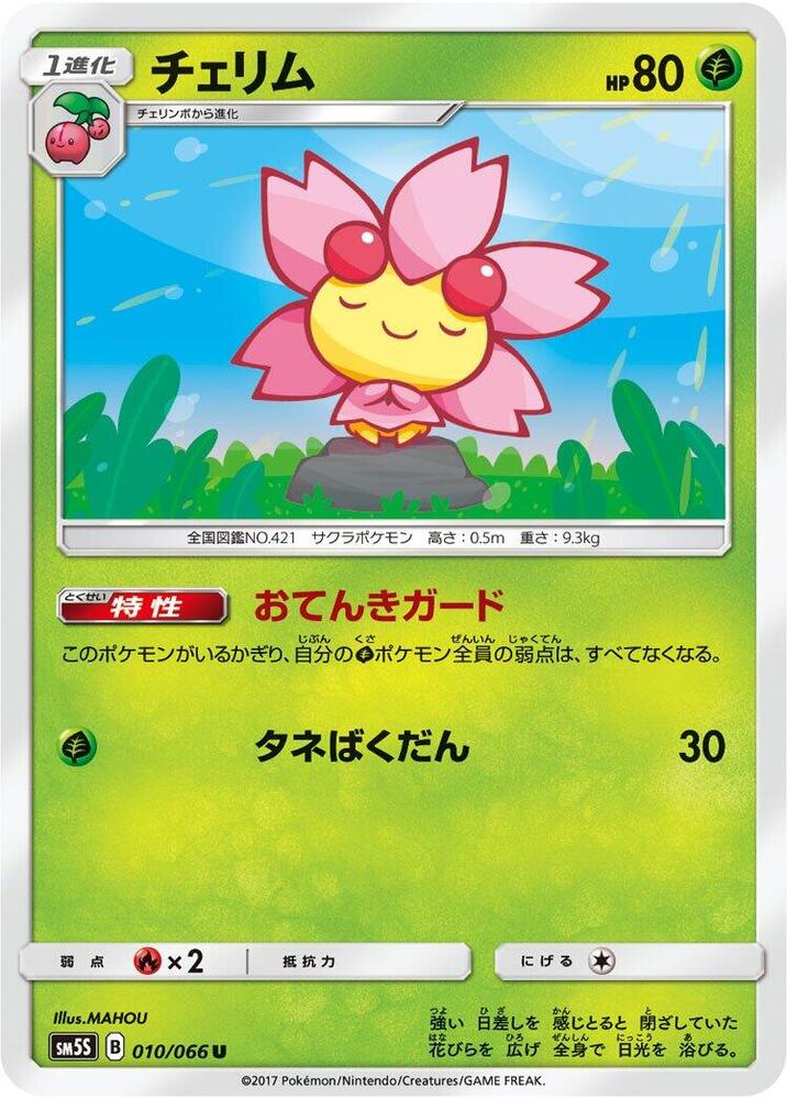 櫻花兒