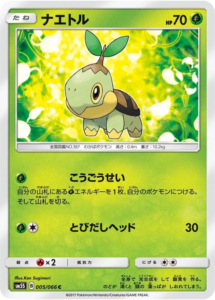 草苗龜