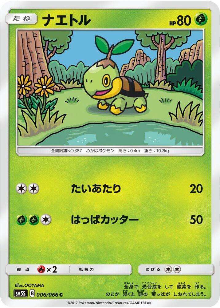草苗龜