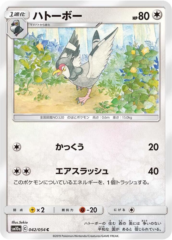 咕咕鴿