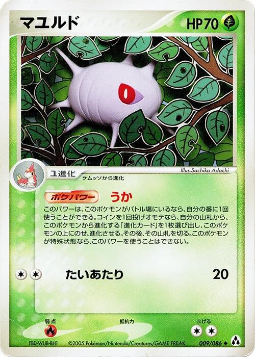 盾甲繭