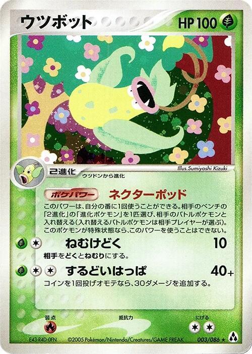 大食花