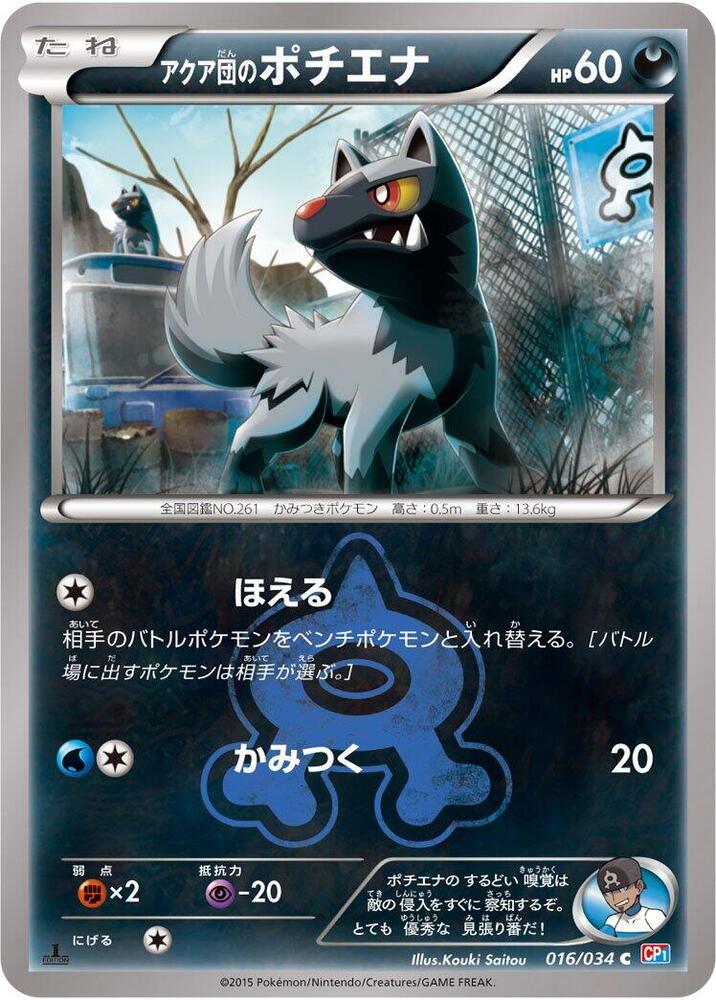 Team Aqua's 土狼犬