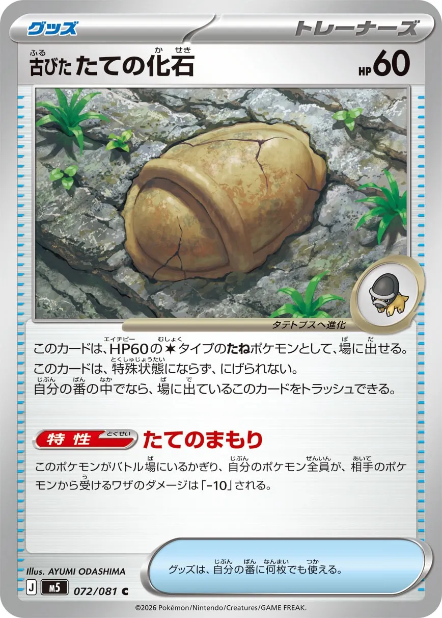 Antique Armor Fossil