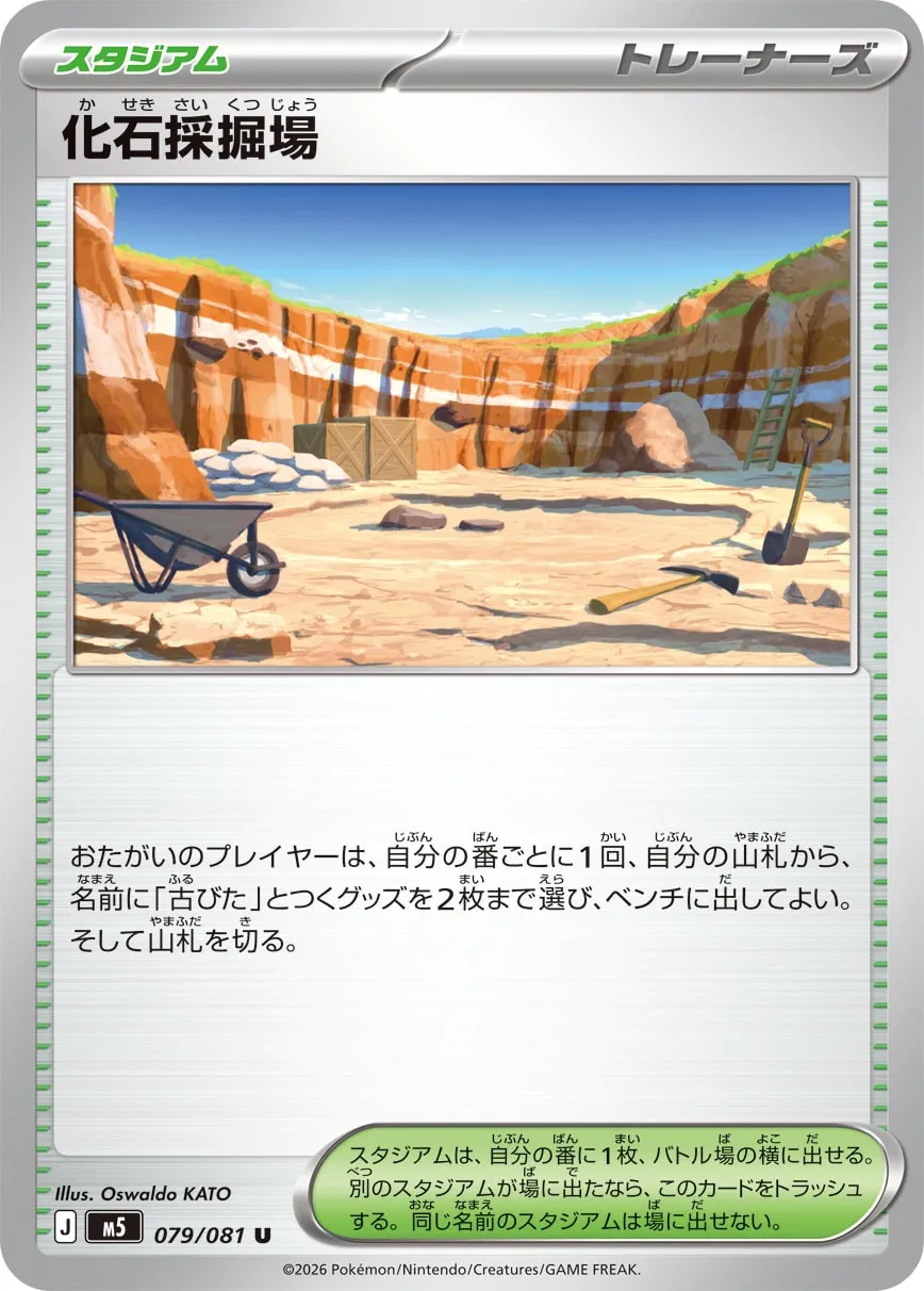Fossil Excavation Site