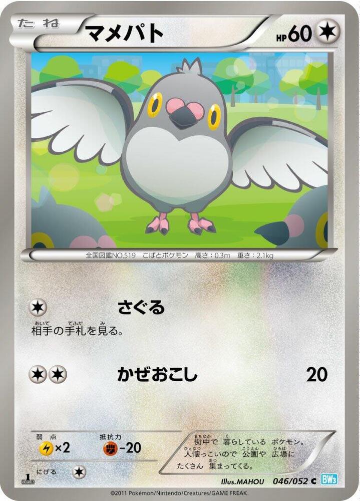 豆豆鴿