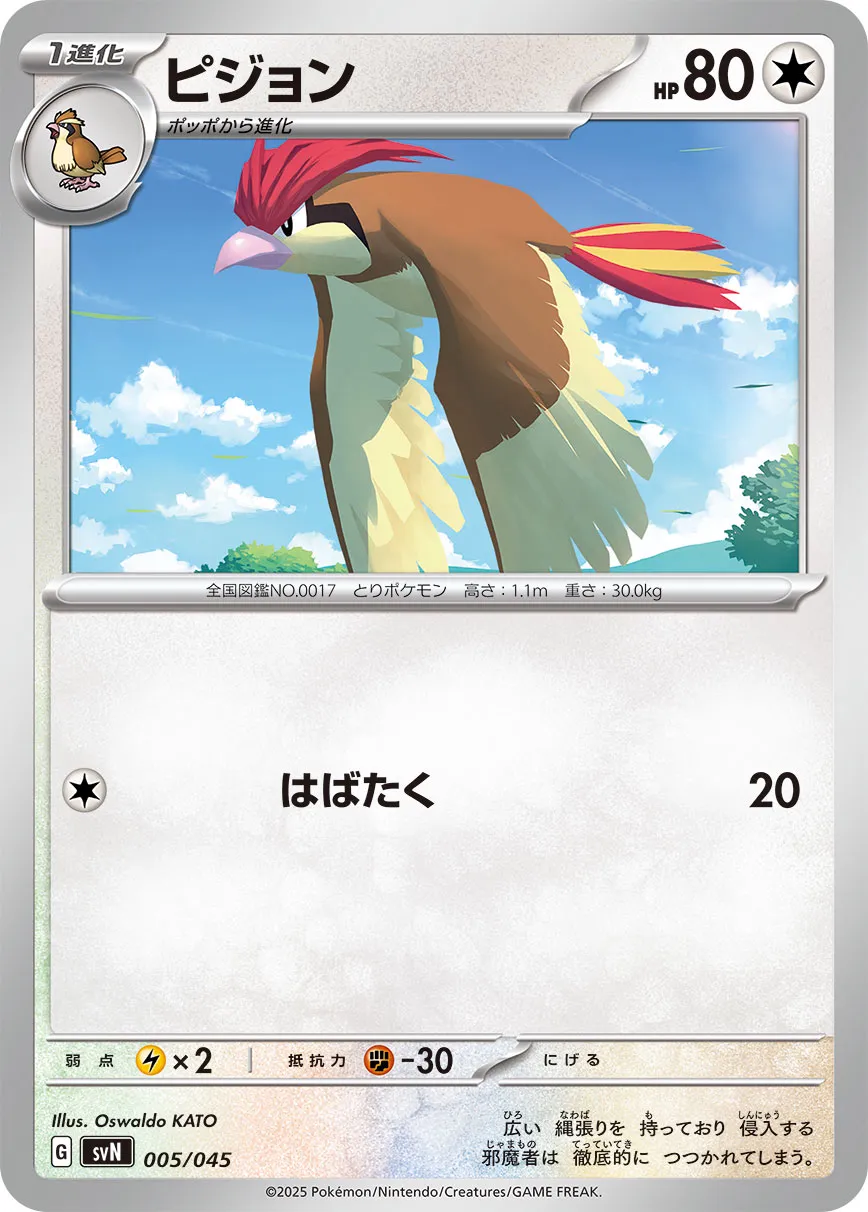 比比鳥