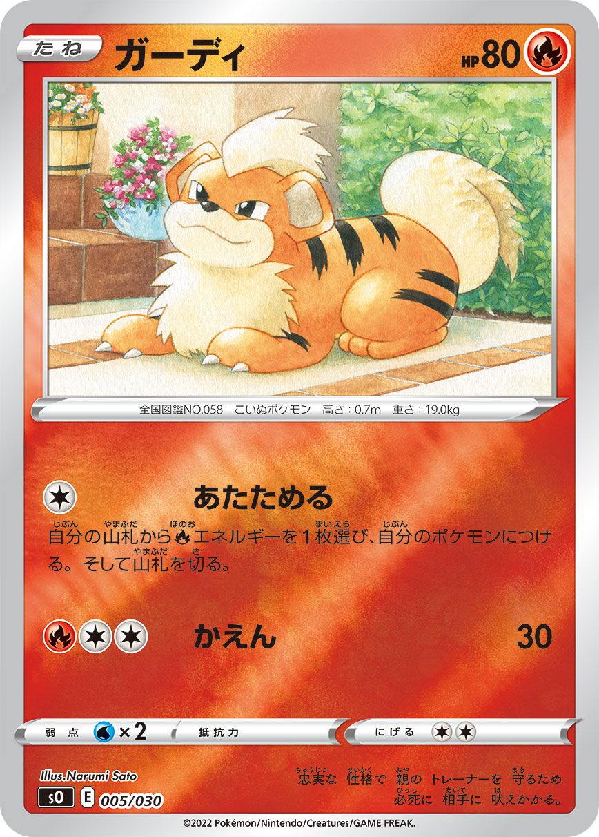 卡蒂狗