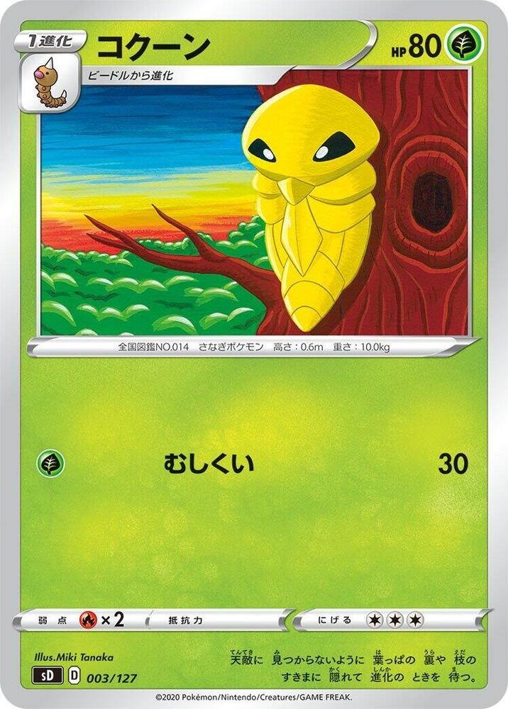 鐵殼蛹
