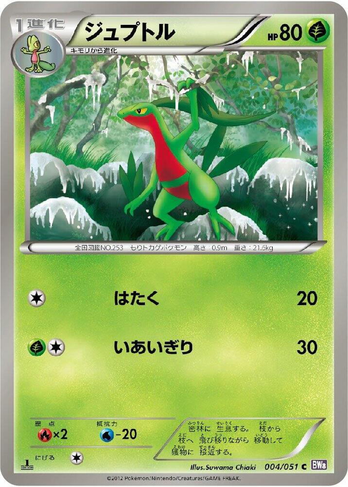 森林蜥蜴