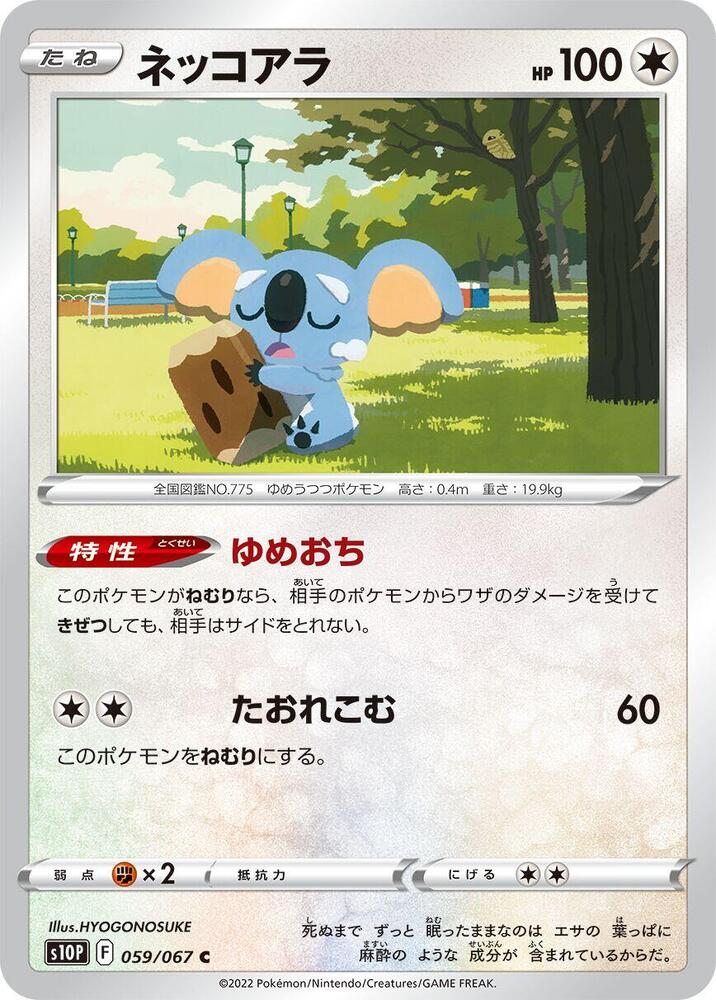 樹枕尾熊
