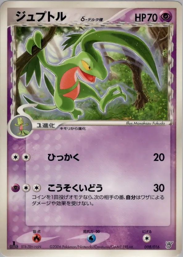 森林蜥蜴