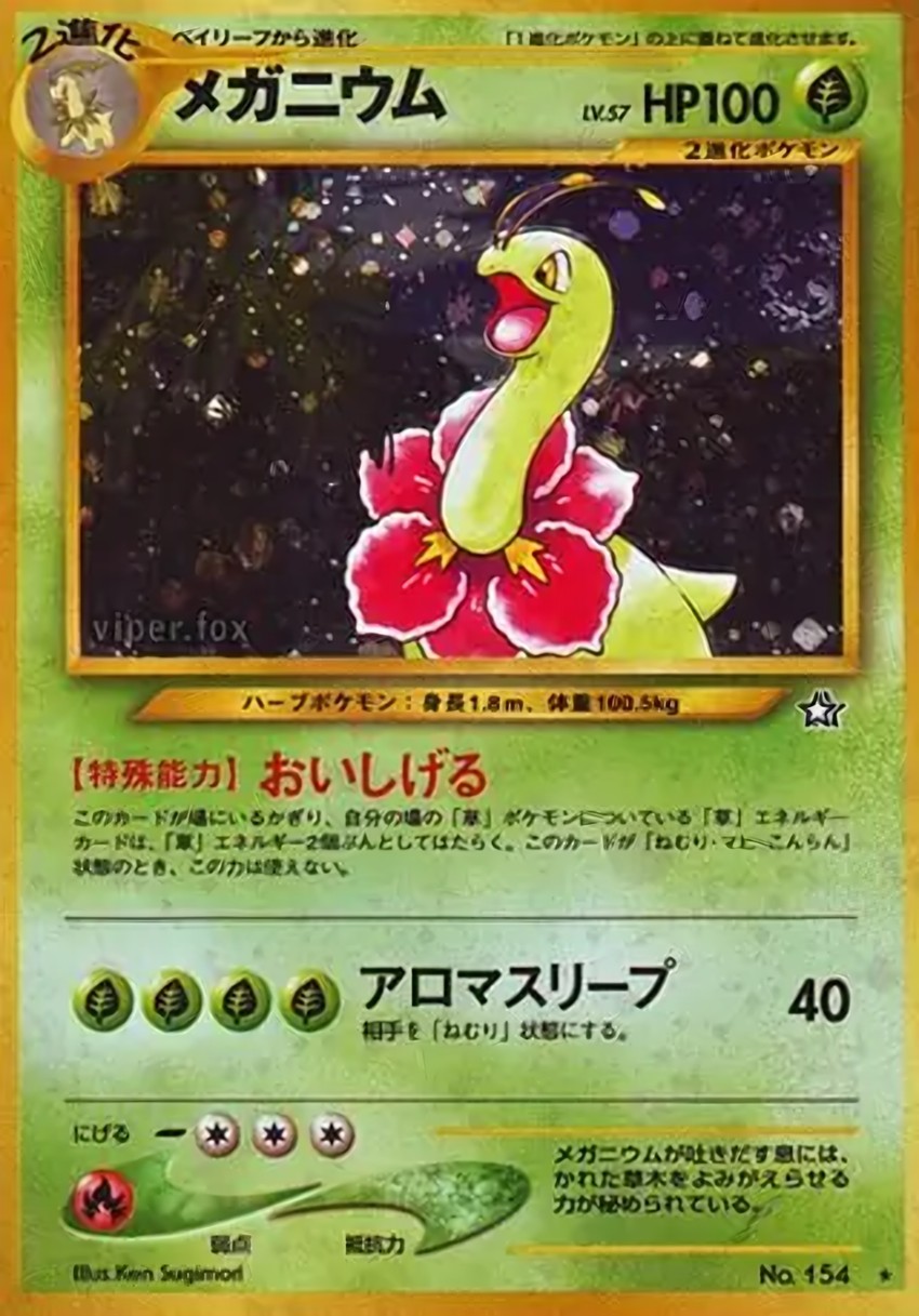 大竺葵