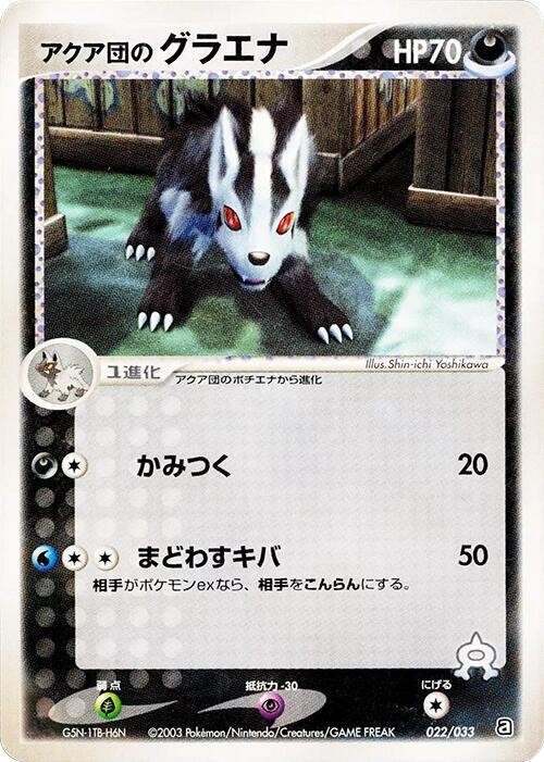 Team Aqua's Mightyena