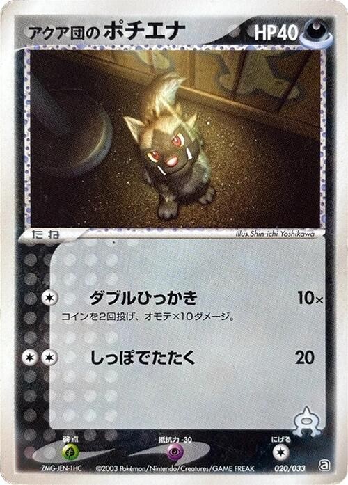 Team Aqua's Poochyena