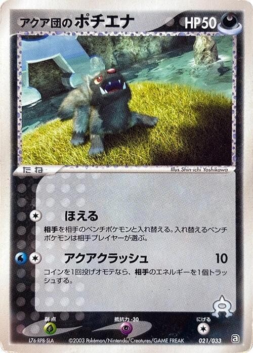 Team Aqua's Poochyena