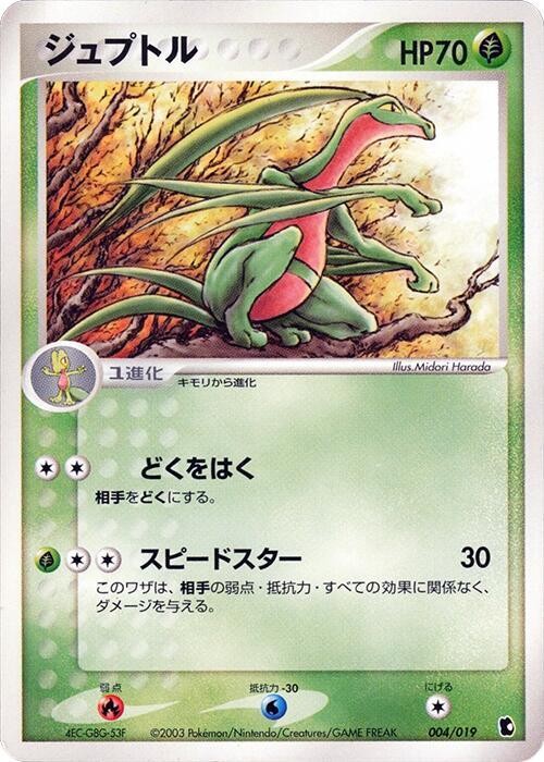 森林蜥蜴
